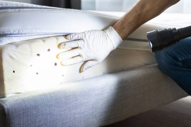 Best Commercial Pest Control Services  in Kilgore, TX