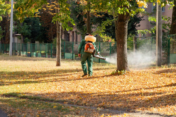 Trusted Kilgore, TX Pest Control Experts