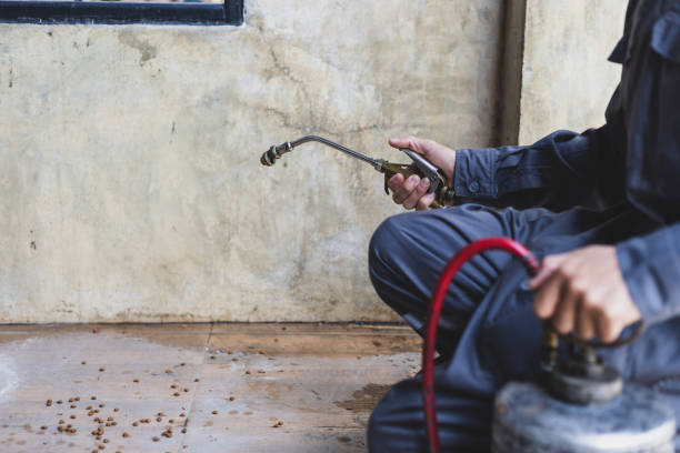 Best Affordable Pest Control Services  in Kilgore, TX